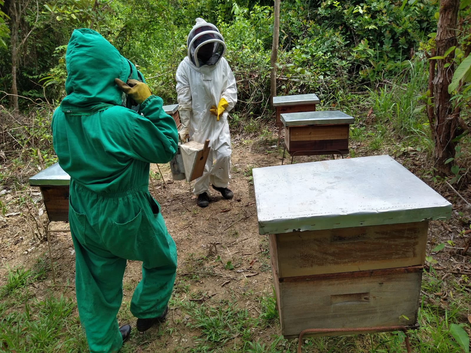 Apicultores Tierralta Córdoba