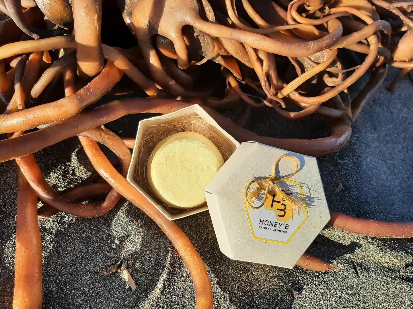 HoneyB